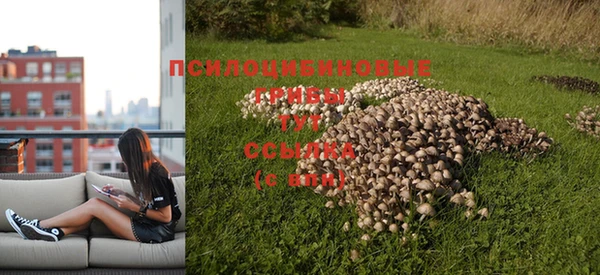 эйфоретик Алексеевка