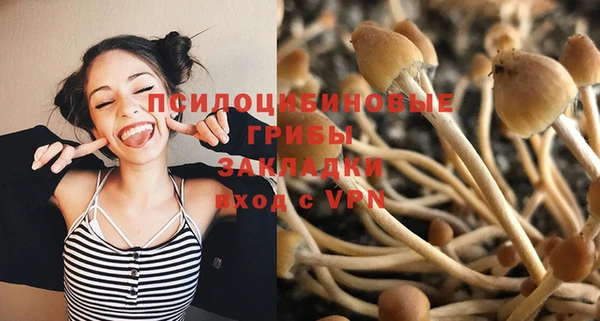 эйфоретик Алексеевка