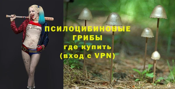эйфоретик Алексеевка