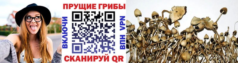 сайты даркнета наркотические препараты  Анива  Галлюциногенные грибы мухоморы 